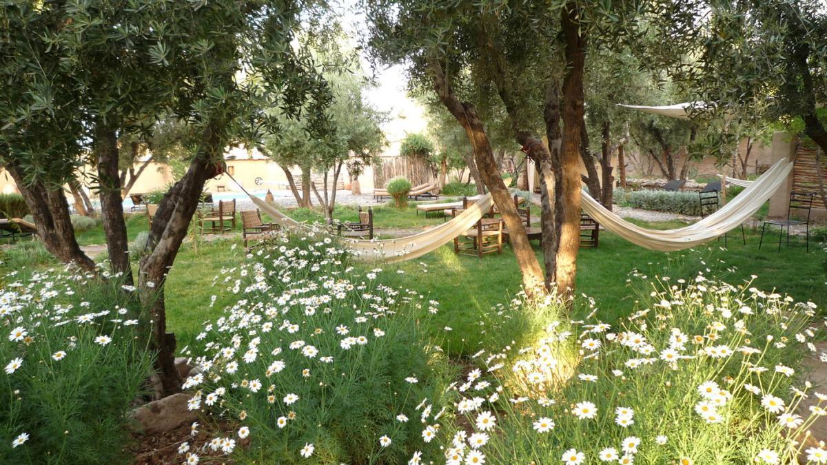 Jardins de Skoura, Ouarzazate